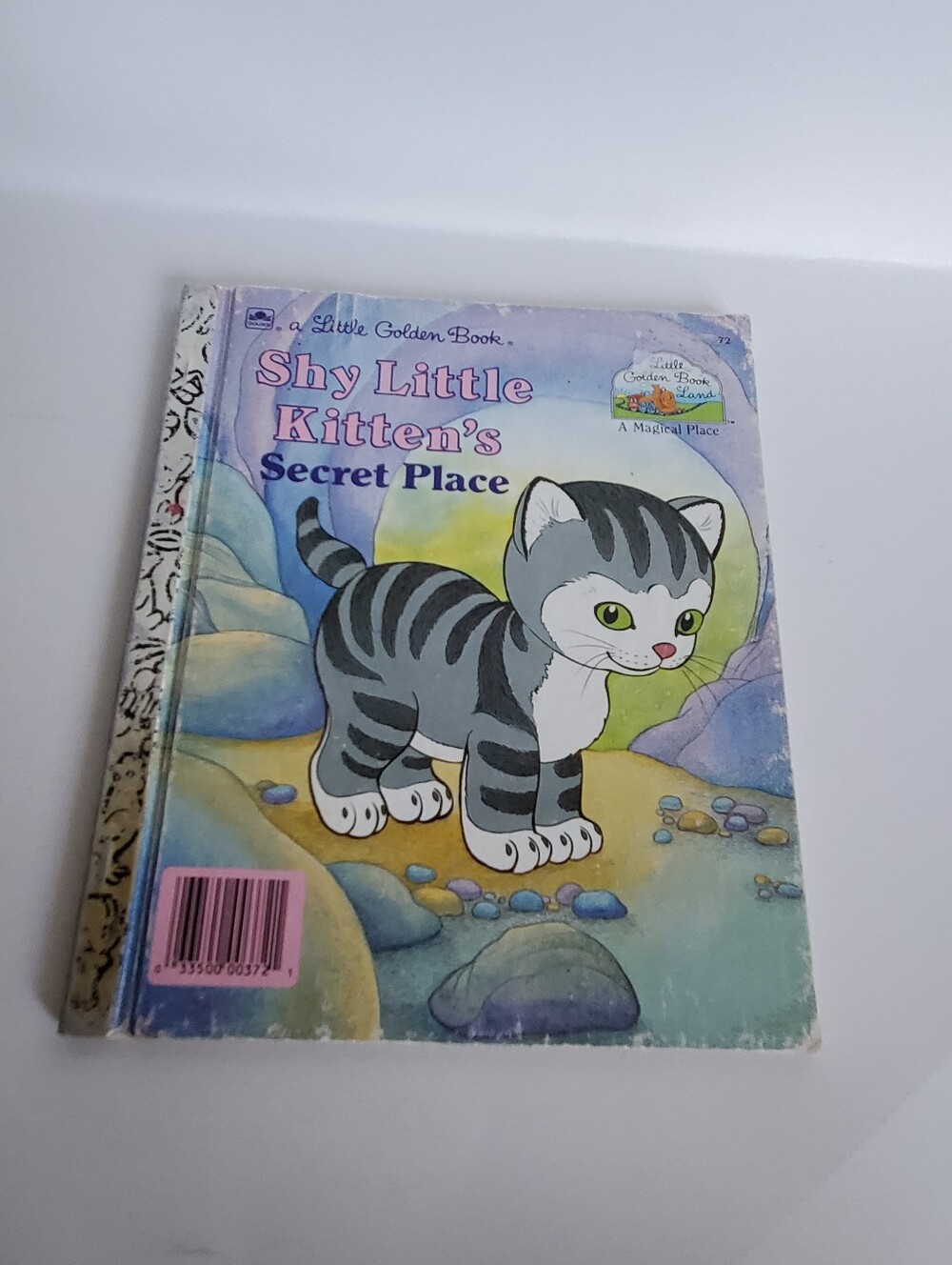 Shy Little Kitten's Secret Place - Gray Kitten Cover